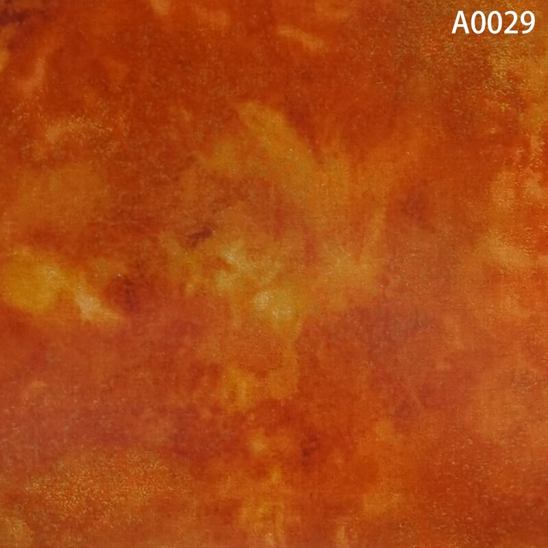 A0029