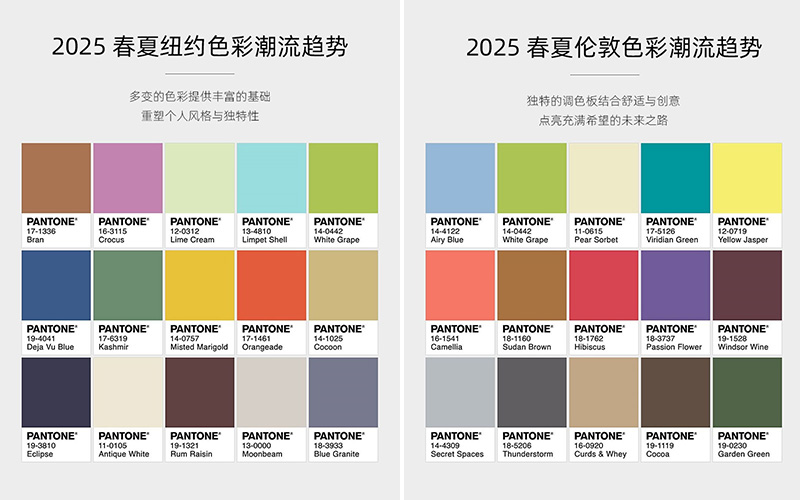 PANTONE 2025ĳ{ɫ (Dd)